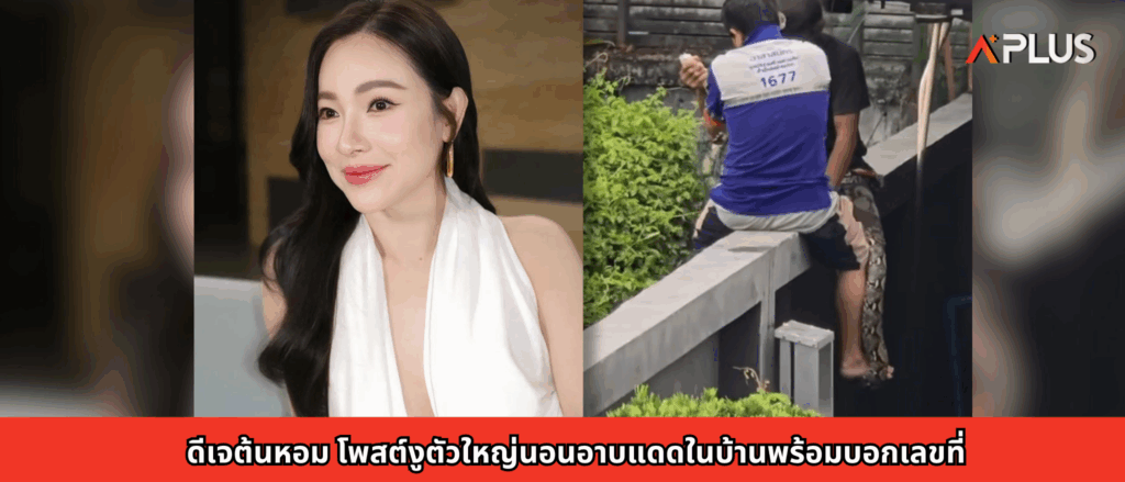 ดีเจต้นหอม โพสต์งูตัวใหญ่นอนอาบแดดในบ้านพร้อมบอกเลขที่